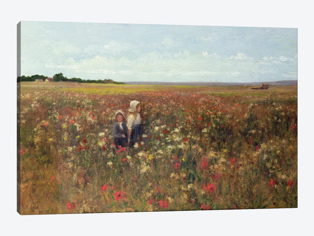 The Poppyfield, 1897  by Kate Colls 1-piece Canvas Art Print