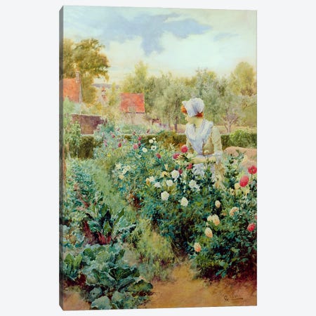 Dahlias, 1896  Canvas Print #BMN3742} by Alfred Glendening Canvas Art