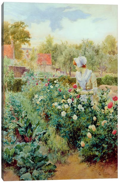 Dahlias, 1896  Canvas Art Print