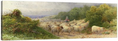 Sheep on the Downs  Canvas Art Print - Farm Animal Art