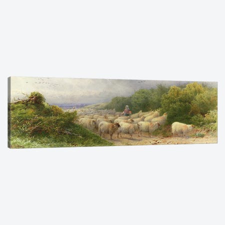 Sheep on the Downs  Canvas Print #BMN3745} by William W. Gosling Art Print