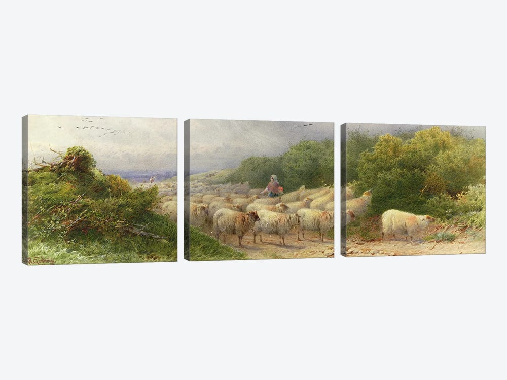 Sheep on the Downs  by William W. Gosling 3-piece Art Print