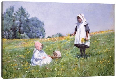 Buttercups and Daisies  Canvas Art Print