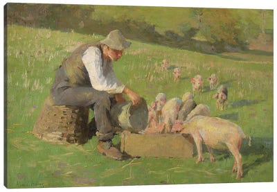 Feeding Time  Canvas Art Print - Pig Art