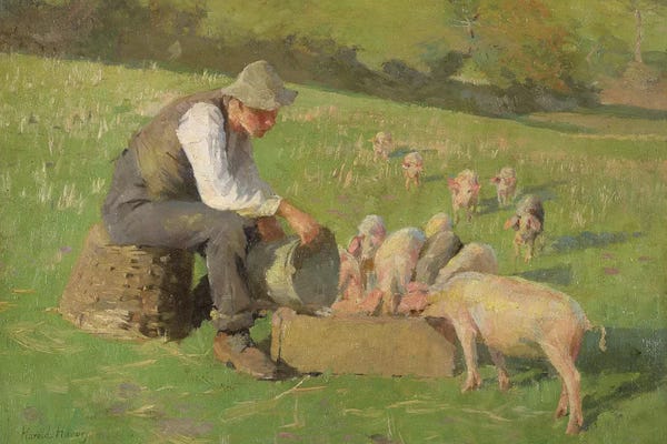 Pigs: Feeding Time by Harold Harvey