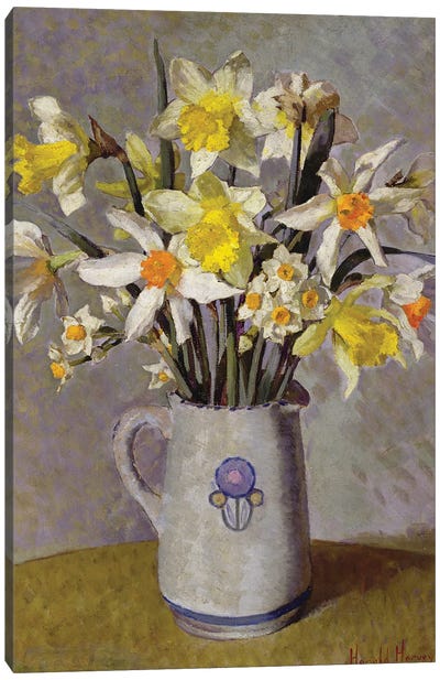 Daffodils  Canvas Art Print