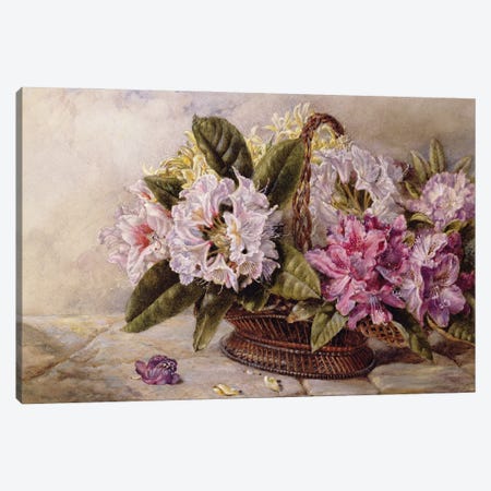Rhododendrons  Canvas Print #BMN3757} by English School Canvas Art