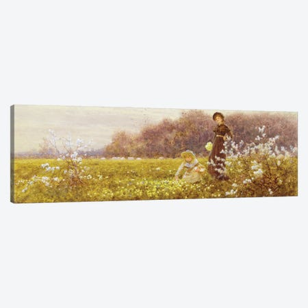 Picking Primroses, 1896  Canvas Print #BMN3763} by Thomas James Lloyd Canvas Artwork