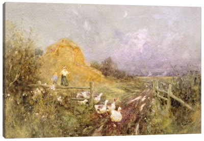 Driving Geese, Early Evening, 1907  Canvas Art Print