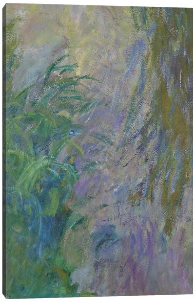 Waterlilies   Canvas Art Print