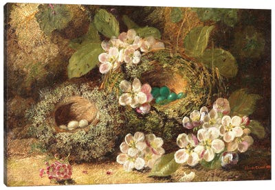 Primroses and Bird's Nests on a Mossy Bank, 1882  Canvas Art Print