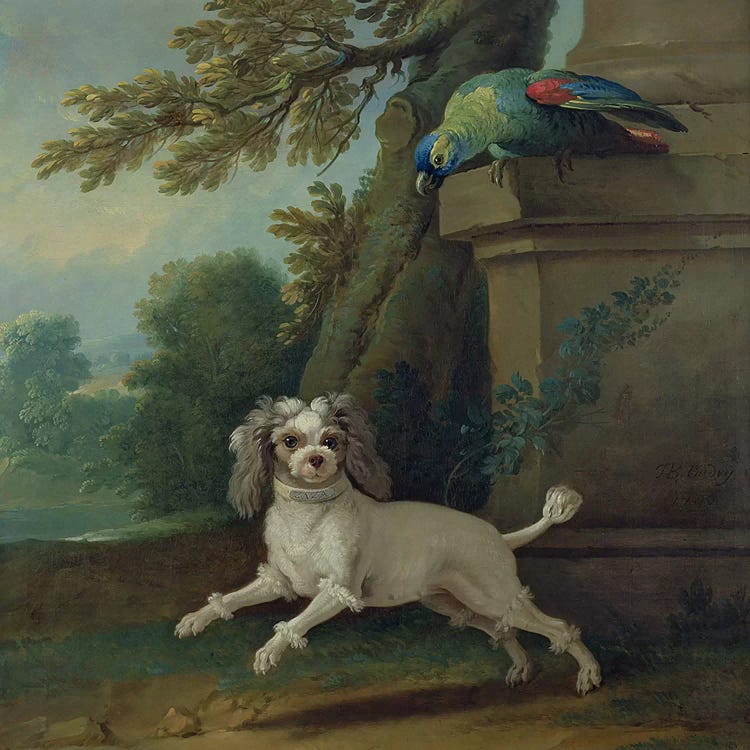 Zaza, the dog, c.1730  by Jean-Baptiste Oudry wall art