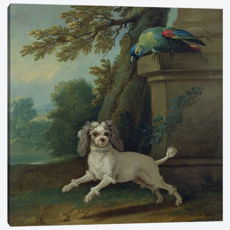 Zaza, the dog, c.1730  Canvas Print #BMN3814} by Jean-Baptiste Oudry Canvas Print