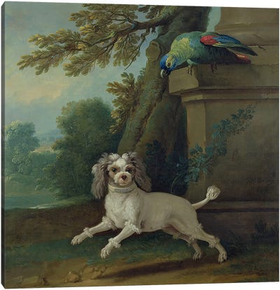 Zaza, the dog, c.1730  Canvas Art Print