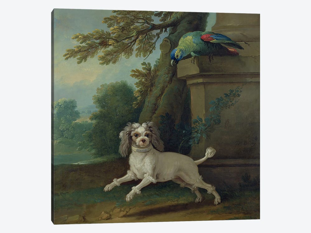 Zaza, the dog, c.1730  by Jean-Baptiste Oudry 1-piece Canvas Art Print