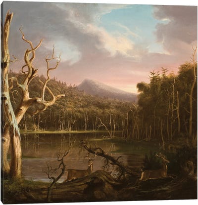 Lake with Dead Trees  Canvas Art Print
