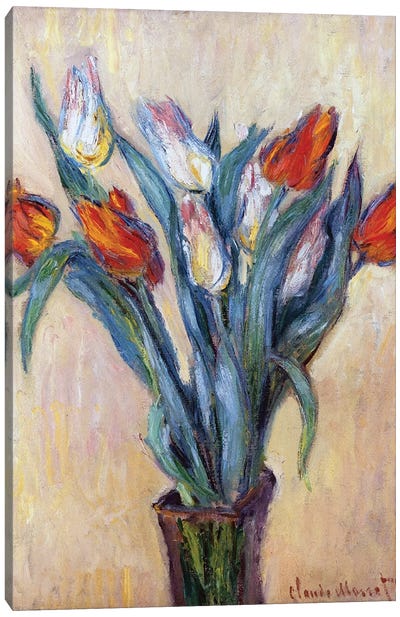 Tulips, 1885  Canvas Art Print - Claude Monet
