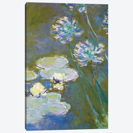 Waterlilies and Agapanthus, 1914-17  Canvas Print #BMN3859} by Claude Monet Canvas Art