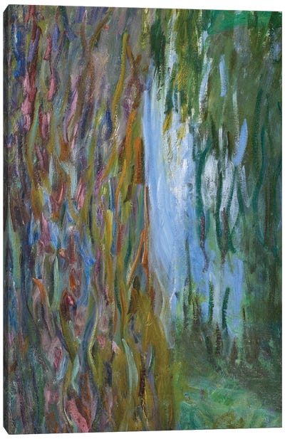 Weeping Willow and the Waterlily Pond, 1916-19  Canvas Art Print - Willow Trees