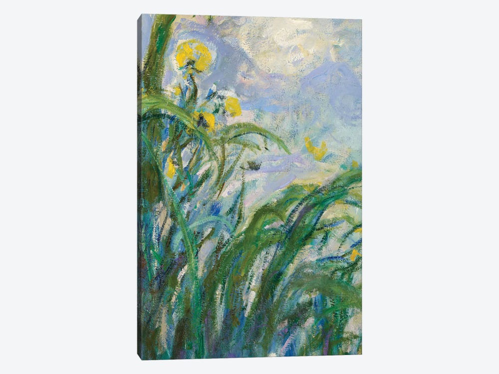 The Yellow Iris  by Claude Monet 1-piece Canvas Art Print