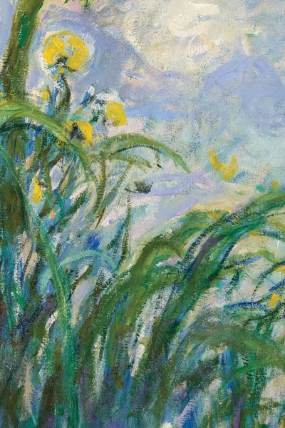 Claude Monet: The Yellow Iris  by Claude Monet