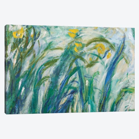 Yellow and Purple Irises, 1924-25  Canvas Print #BMN3866} by Claude Monet Canvas Art