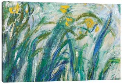 Yellow and Purple Irises, 1924-25  Canvas Art Print - Iris Art