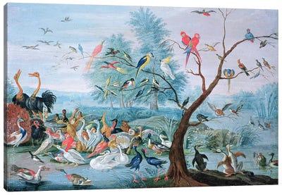 Tropical birds in a landscape  Canvas Art Print