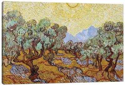 Olive Trees, 1889  Canvas Art Print - Post-Impressionism Art