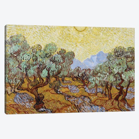 Olive Trees, 1889  Canvas Print #BMN3965} by Vincent van Gogh Art Print