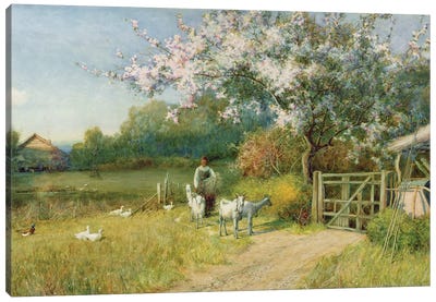 Springtime Canvas Art Print