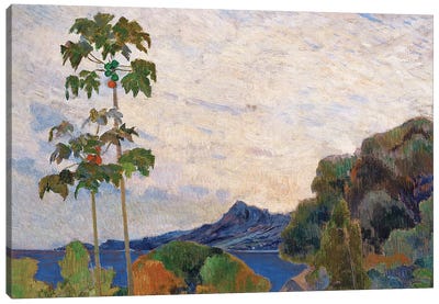 Martinique Landscape, 1887   Canvas Art Print - Paul Gauguin