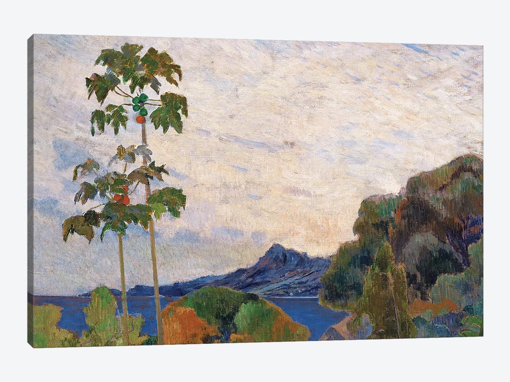 Martinique Landscape, 1887   by Paul Gauguin 1-piece Canvas Print