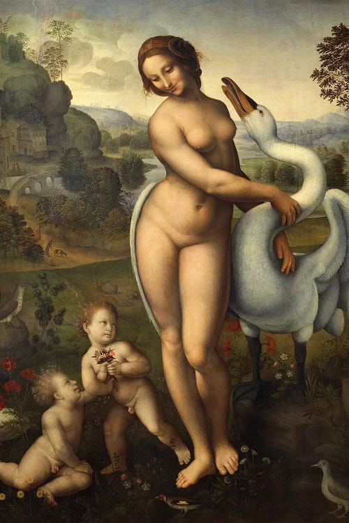 Leda and swan 