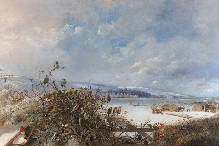 Birds of a Feather  by Charles Henry Clifford Baldwyn wall art