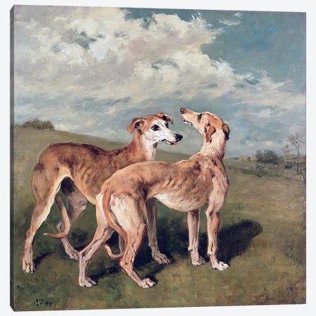 Greyhounds  Canvas Print #BMN409} by John Emms Canvas Artwork