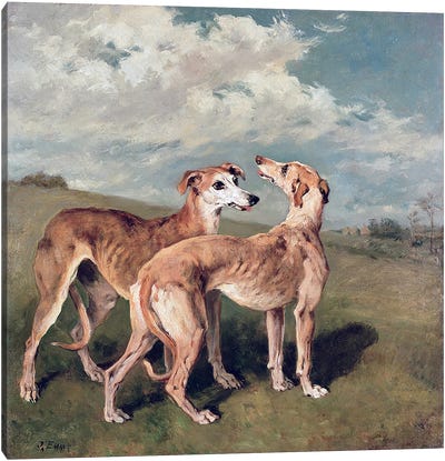 Greyhounds  Canvas Art Print