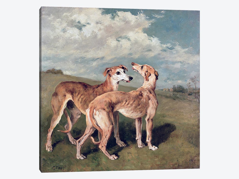 Greyhounds  1-piece Canvas Print