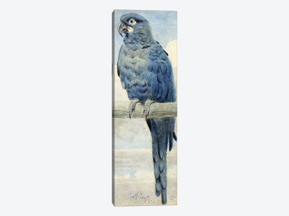 Hyacinthine Macaw, 1889  by Henry Stacey Marks 1-piece Canvas Art