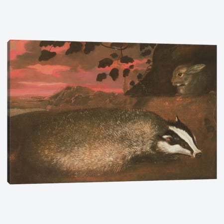 Badger, 17th century Canvas Print #BMN412} by Francis Barlow Canvas Print