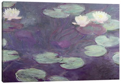 Waterlilies  Canvas Art Print - Pond Art