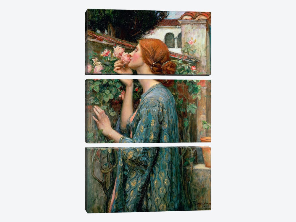 The Soul Of The Rose, 1908  3-piece Canvas Print