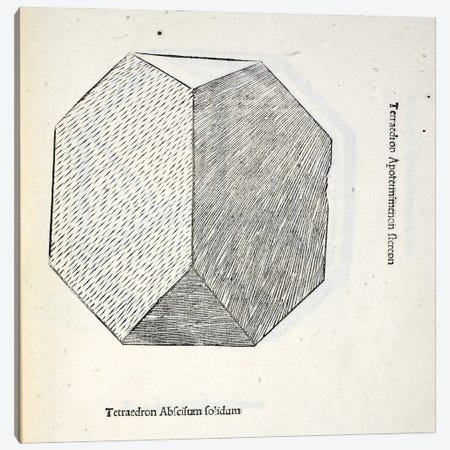 Tetraedron Abscisum Solidum Canvas Print #BMN4214} by Leonardo da Vinci Canvas Artwork
