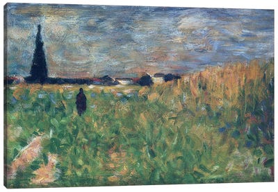 Fields in Summer Canvas Art Print