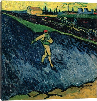 The Sower, 1888  Canvas Art Print - Vincent van Gogh