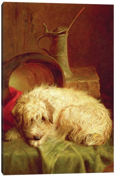 A Terrier Canvas Art Print