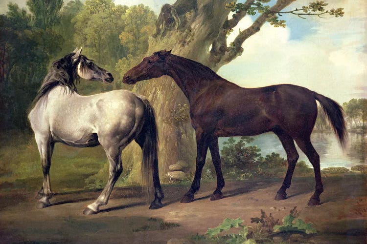 Two Horses in a landscape 