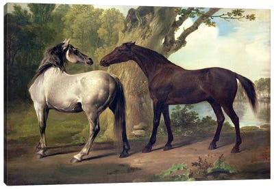 Two Horses in a landscape  Canvas Art Print