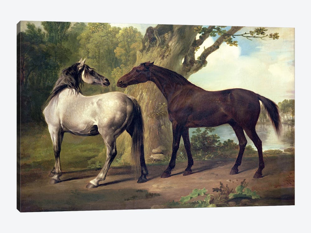 Two Horses in a landscape  by George Stubbs 1-piece Art Print