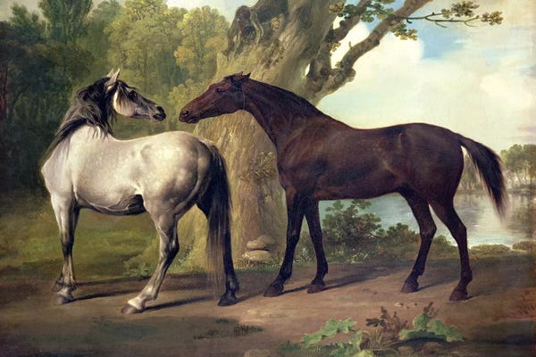 George Stubbs